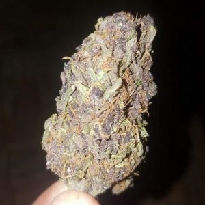 Blueberry Blast Marijuana Sydney