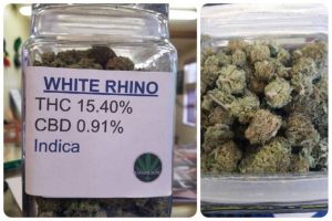 White Rhino Marijuana Australia