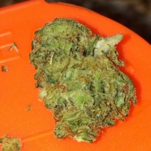 Cannatonic Cannabis Strain Colac