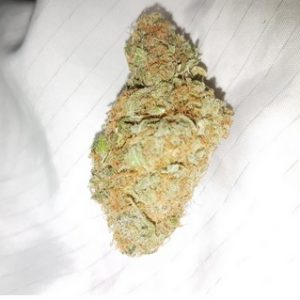 Dutch Dragon Marijuana AU